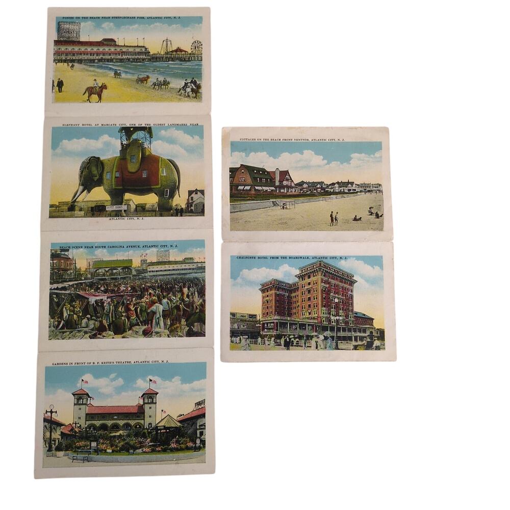 Atlantic City New Jersey‎ Fold-Out Postcards Early 1900s Hotel Elephant Bathing+